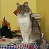 Отзыв от Роза Савельева